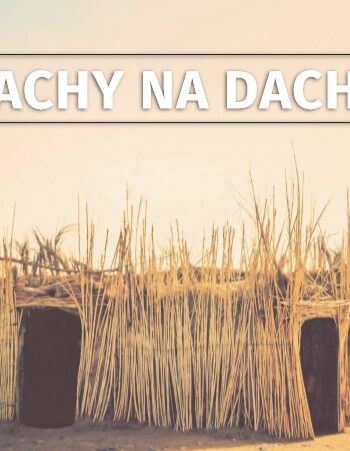 Blachy na dachy